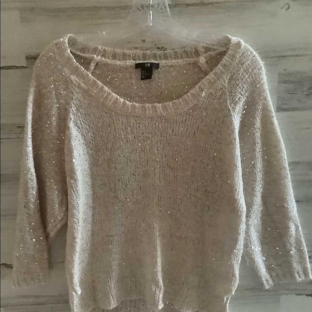H&M Sparkling Sweater